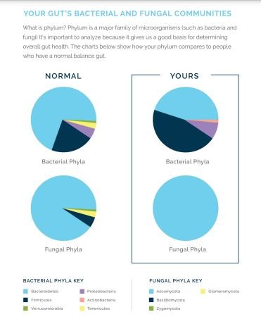 Viome vs BIOHM vs Floré: BIOHM comparison to normal gut levels